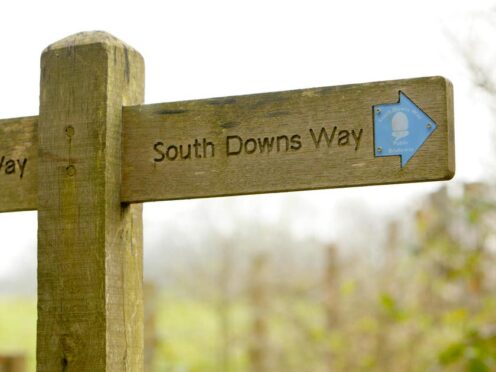 The South Downs National Park has become the first in the country to launch a scheme to enable businesses to invest in ‘high-ethic, effective nature recovery’ with the aim of boosting biodiversity (Chris Ison/PA)