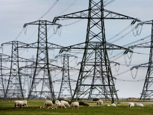 National Grid runs much of Britain’s electricity infrastructure (Gareth Fuller/PA)