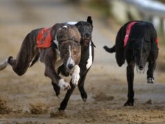 A ban on greyhound racing was discussed by MSPs (Nick Potts/PA)