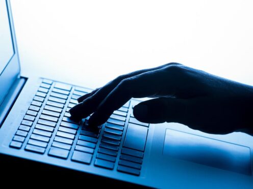 People at risk of being exposed to malicious online activity have been offered a ‘personal internet protection’ service (PA)