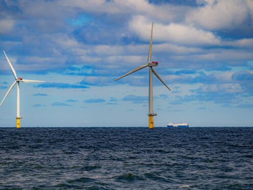 Plaid Cymru said Wales should set up a national wealth fund using profits from offshore wind farms owned by the King (Ben Birchall/PA)