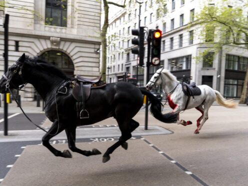 It is understood Household Cavalry horses Vida (grey) and Quaker (Black) are still being cared for by vets (Jordan Pettitt/PA)