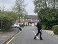 A police sniffer dog sweeps through the streets around the police cordon in Hainault, north east London, where the boy was killed (Samuel Montgomery/PA)