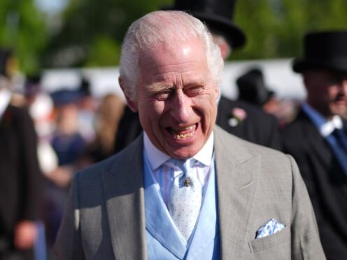 King Charles has become patron of the Royal Air Force Museum (Jordan Pettitt/PA)