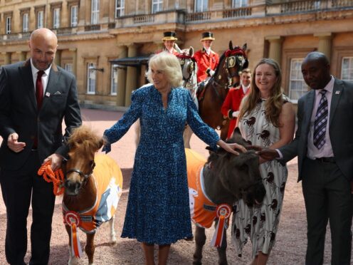 Camilla spent time with the animals in the Buckingham Palace quadrangle (Geoff Pugh/Daily Telegraph/PA)