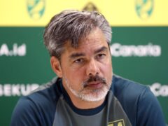Norwich have parted company with David Wagner (Nigel French/PA)