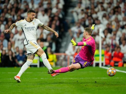 Joselu was the Real Madrid hero in a 2-1 win over Bayern Munich (Jose Breton/AP)