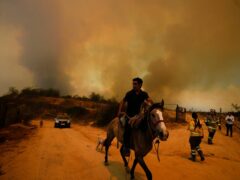 A resident flees an encroaching forest fire in Vina del Mar, Chile (Esteban Felix, AP File)
