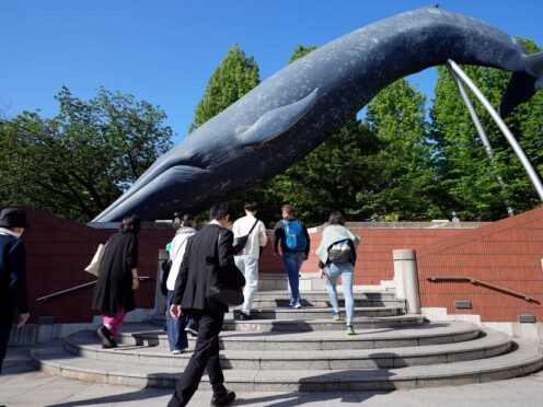 People walk nearby a life size model of a whale displayed at the National Science Museum in Tokyo (Eugene Hoshiko/AP)