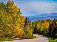 A road curves through the autumn foliage landscape in the Vermont countryside (Alamy/PA)
