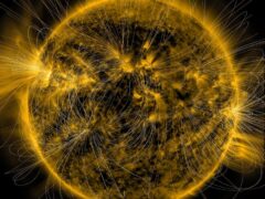 Illustration of the Sun’s magnetic fields over an image captured by Nasa’s Solar Dynamics Observatory (Nasa/SDO/AIA/LMSAL)