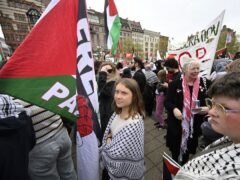 Climate activist Greta Thunberg. (Johan Nilsson/TT News Agency via AP)