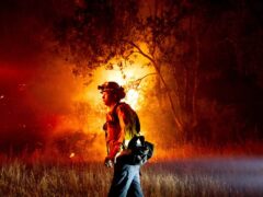 A firefighter passes flames burning along in Healdsburg, California (Noah Berger/AP)