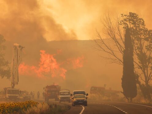 Soaring temperatures have sparked blazes across the region (Dia Photo via AP, File)