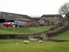 Research has suggested rural businesses are losing thousands of pounds of investments thanks to projects being held up in the planning process (Danny Lawson/PA)