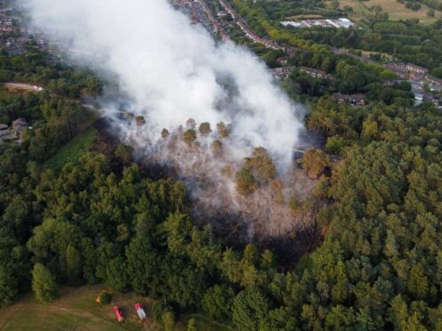 Firefighters respond to a large wildfire in woodland at Lickey Hills Country Park on the edge of Birmingham in 2022 (PA)