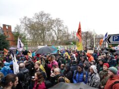Extinction Rebellion demonstrators march in Westminster, London, last year (Jordan Pettitt/PA)