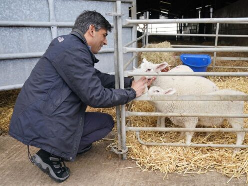 Prime Minister Rishi Sunak visited a farm in the battleground seat of Macclesfield in north-west England during the General Election campaign (Jonathan Brady/PA)