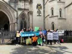 Protesters outside the Royal Courts of Justice, central London, who are challenging plans to drill for oil at an Area of Outstanding Natural Beauty in the Lincolnshire Wolds (Callum Parke/PA)