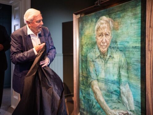 Sir David Attenborough during the unveiling of a portrait of the broadcaster and conservationist painted by Jonathan Yeo, at a private ceremony at the Royal Society in London (James Manning/PA)