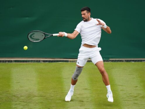 Novak Djokovic is set to begin his 19th Wimbledon campaign on Tuesday (Zac Goodwin/PA)