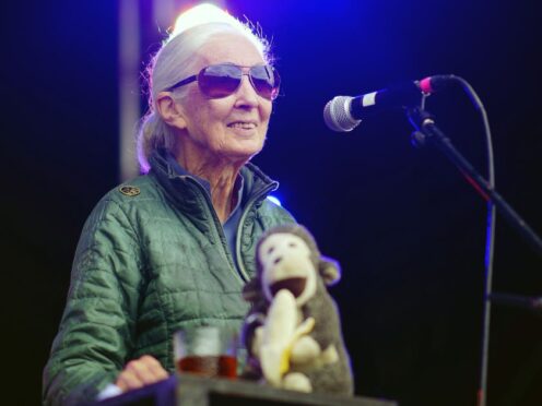 Dr Jane Goodall on the Greenpeace stage (Ben Birchall/PA)