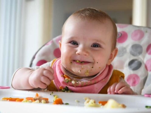 Baby-led weaning furnishes ample calories for growth and development, scientists say (Alamy/PA)