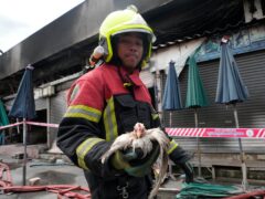 Thai rescuer carries a survived chicken from a fire at the Chatuchak weekend market in Bangkok, Thailand (Sakchai Lalit/AP)