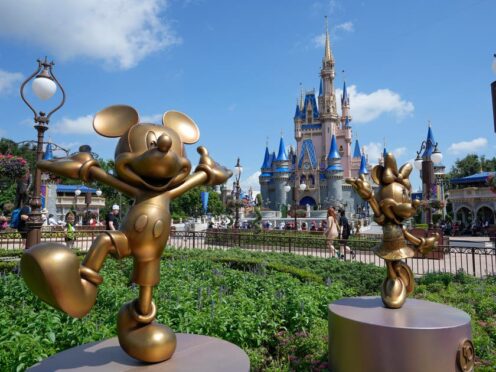Walt Disney World in Florida (John Raoux/AP)