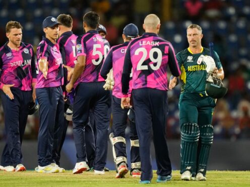 Scotland went close to victory (Ramon Espinosa/AP)