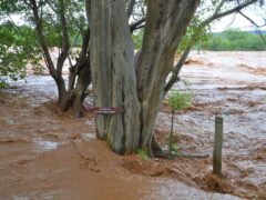 River flooding in Kenya (Alamy/PA)