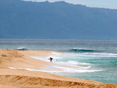 A professional lifeguard died after he was attacked by a shark while surfing off the island of Oahu in Hawaii (AP)