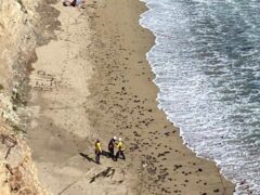 The surfer was spotted by rescue crews on the beach (Cal Fire CZU via AP)