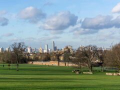 The incident happened in Brockwell Park (Alamy/PA)