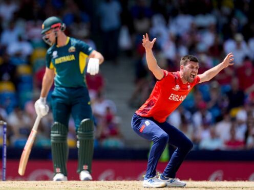 England and Australia are both still in contention to win the T20 World Cup (Ricardo Mazalan/AP)
