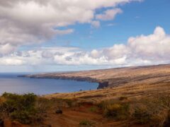 Tamayo Perry died off the coast of Hawaii ( Lori Barbely / Alamy Stock Photo)