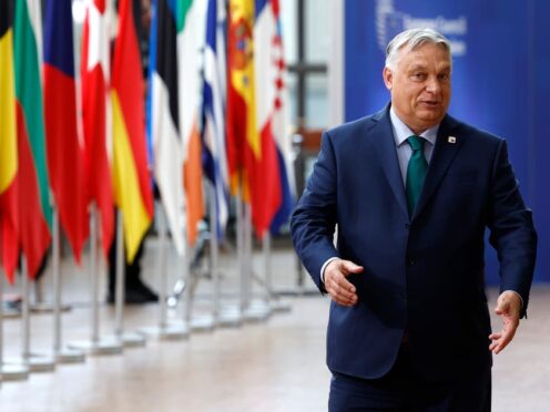 Hungarian PM Viktor Orban has presented a new alliance with Austria’s far-right Freedom Party and main Czech opposition party Ano, which hopes to attract other partners and become the biggest right-wing group in the European Parliament (Geert Vanden Wijngaert/AP)