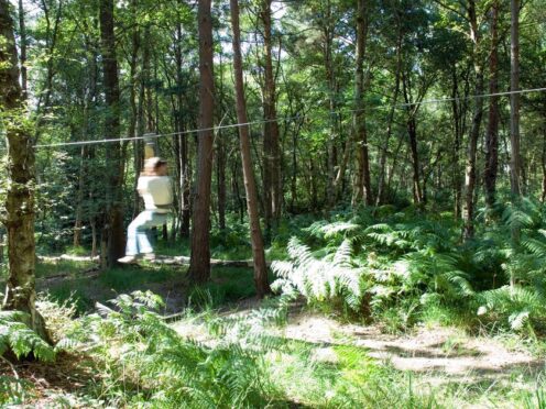 Go Ape founder Tristram Mayhew has been made an MBE (Alamy/PA)
