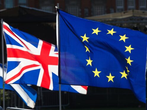 Union flag alongside the Europe flag (Jonathan Brady/PA)
