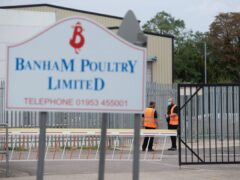 Banham Poultry Limited and Air Products plc have appeared in court accused of the corporate manslaughter of two pest controllers who were found dead at a chicken factory in Norfolk in October 2018 (Joe Giddens/PA)
