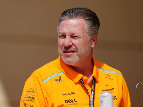 Zak Brown (pictured) has taken aim at Christian Horner (David Davies/PA)