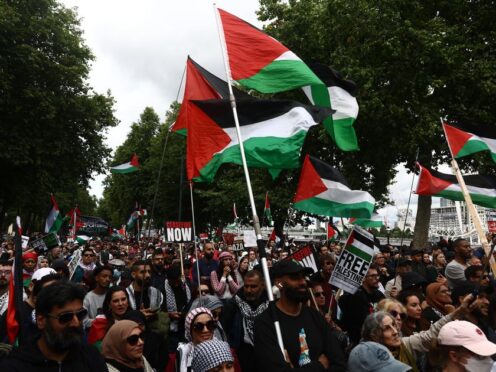 People take part in a pro-Palestine march in central London organised by the Palestine Solidarity Campaign (Tejas Sandhu/PA)