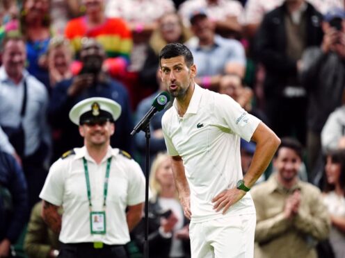 Novak Djokovic criticised some crowd members on Centre Court (Mike Egerton/PA)