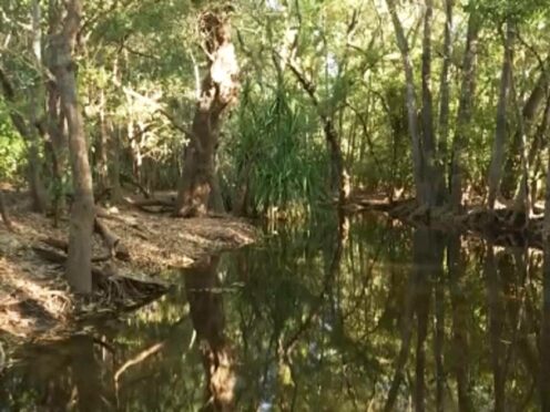 The girl died after being taken by a crocodile in the Northern Territory’s Palumpa area (AuBC via AP)