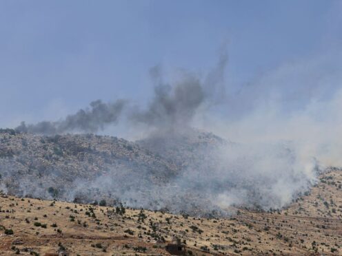 The daily exchanges of strikes between Hezbollah and Israeli forces have sparked fires that are tearing through forests and farmland on both sides of the frontline (AP)