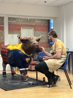 Craig Cairnie painting his Tartan Army highland cow - now on show in Perth.