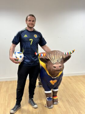 Craig Cairnie's Tartan Army highland cow on show in Perth.