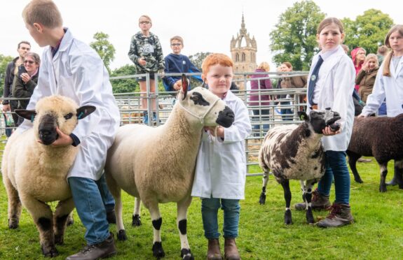 Children show off their sheep at Perth Show 2023