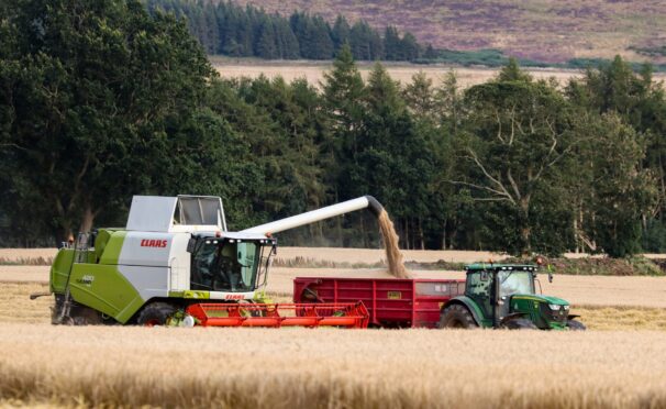 First spring barley on Mill of Inverarity Farm Forfar