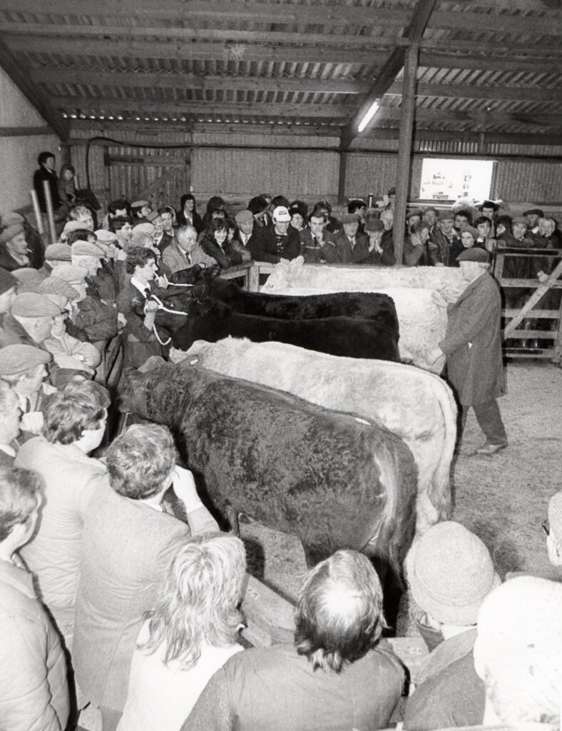 Farmers and buyers pack the show ring in 1986 as judge John Scott selects his champion from a fine line of beasts.